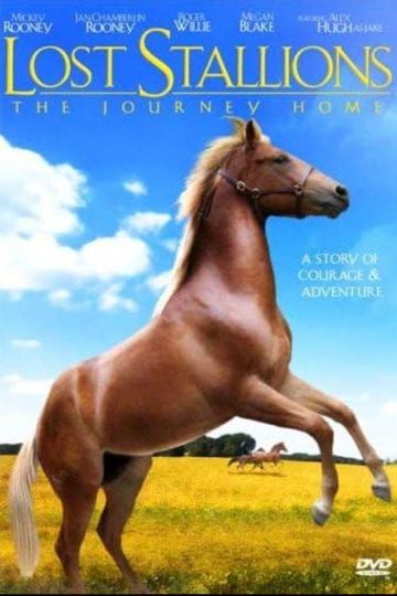 Lost Stallions The Journey Home