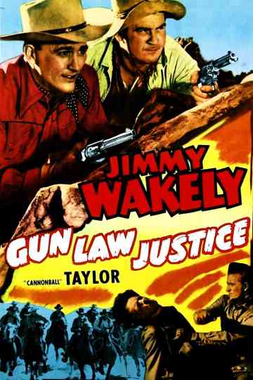 Gun Law Justice Poster