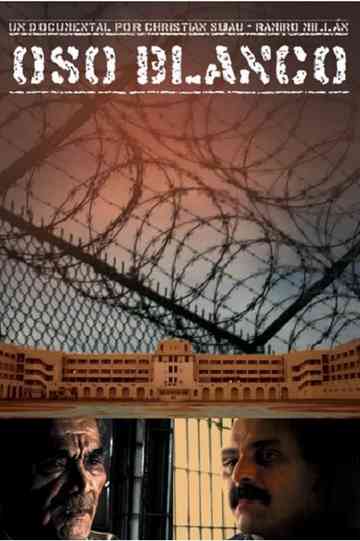 Oso Blanco poster