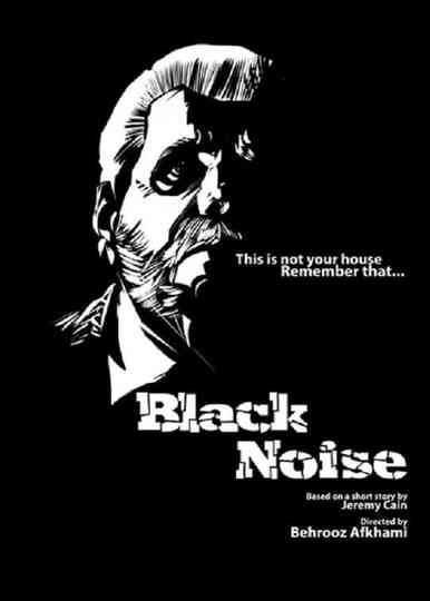 Black Noise Poster
