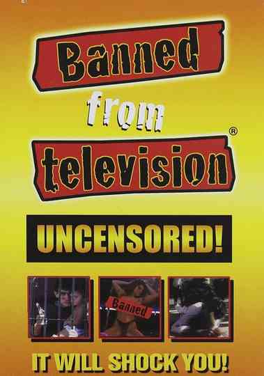 Banned from Television Poster