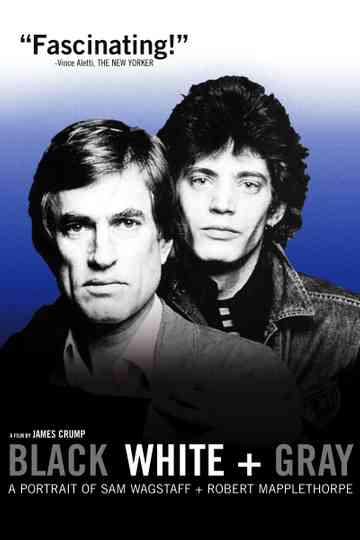 Black White  Gray A Portrait of Sam Wagstaff and Robert Mapplethorpe