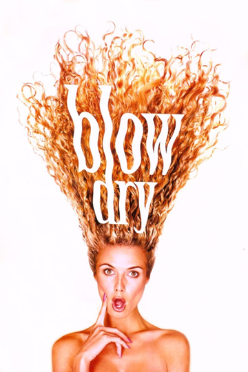 Blow Dry Poster