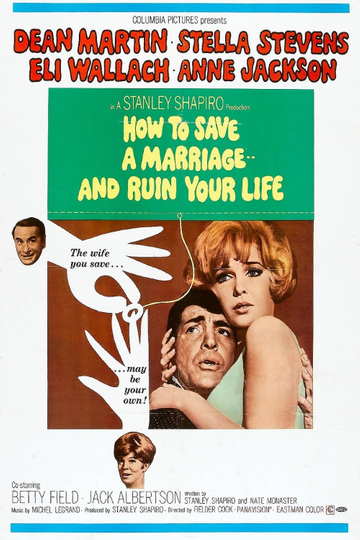 How to Save a Marriage and Ruin Your Life Poster