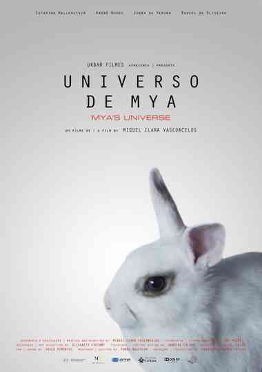 Universo de Mya poster