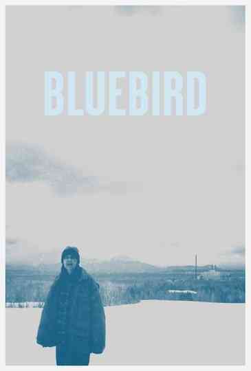 Bluebird Poster