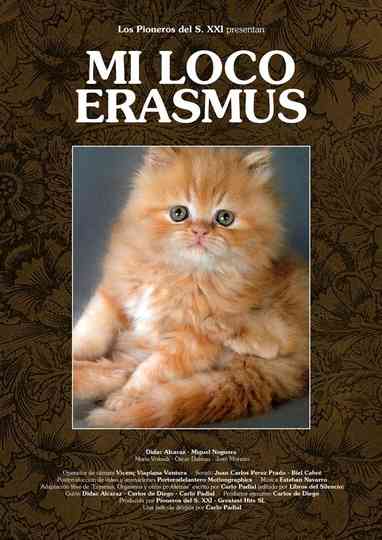 Mi loco erasmus Poster