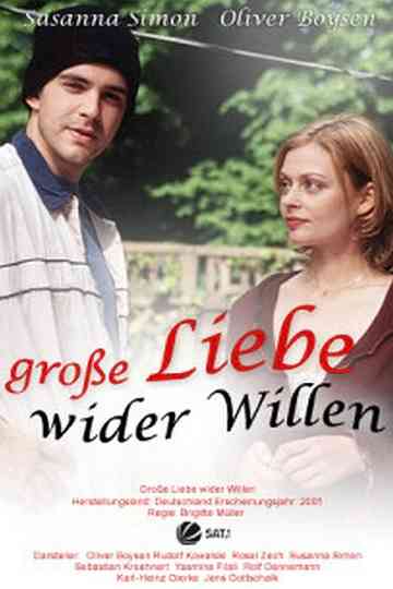 Große Liebe wider Willen Poster