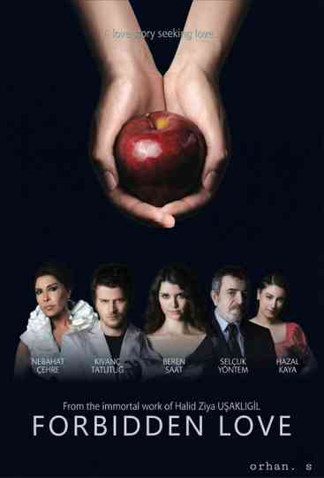 Forbidden Love poster