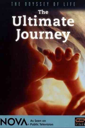 Odyssey of Life Poster