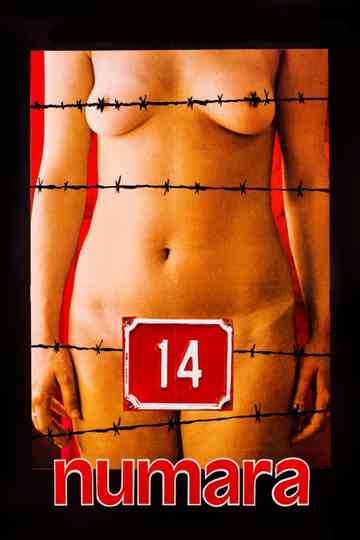Number 14 Poster