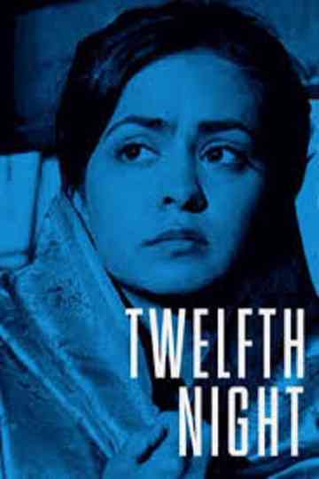 Twelfth Night, or What You Will Poster