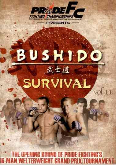 Pride Bushido 11 Poster