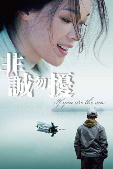 If You Are the One Poster