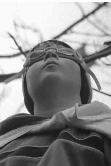 I Ran With a Grey Ghost Poster