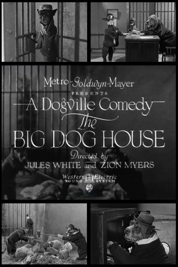 The Big Dog House