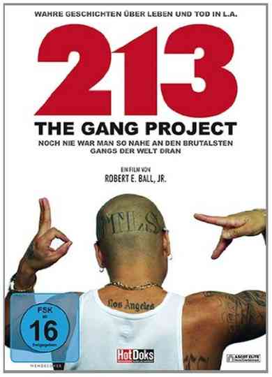 213  The Gang Project Poster