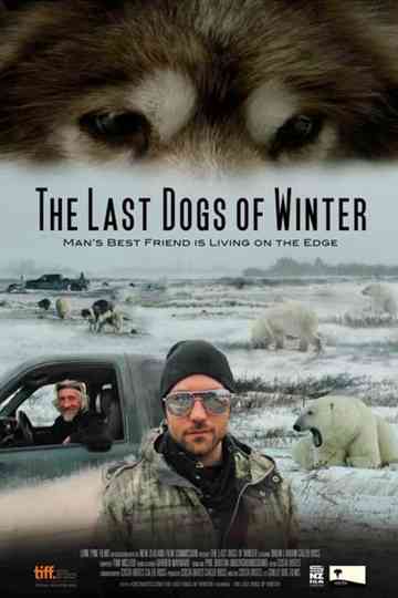 The Last Dogs of Winter Poster