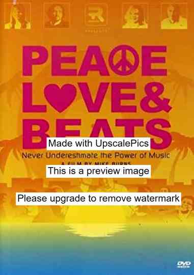 Peace Love & Beats Poster