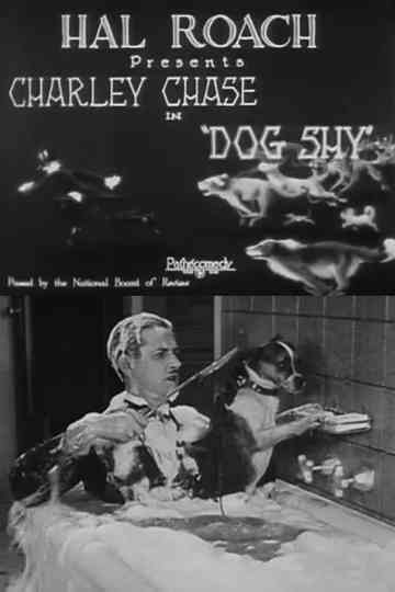 Dog Shy Poster