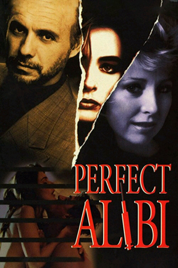 Perfect Alibi Poster