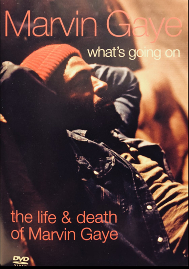 Whats Going On The Life and Death of Marvin Gaye