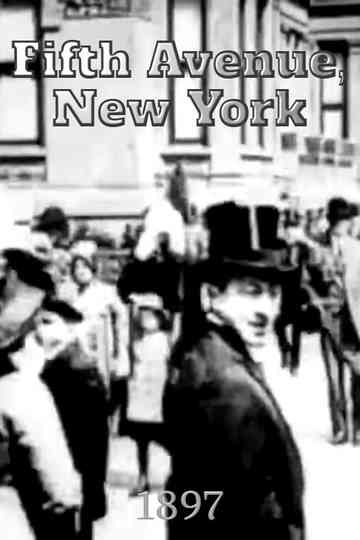 Fifth Avenue, New York Poster