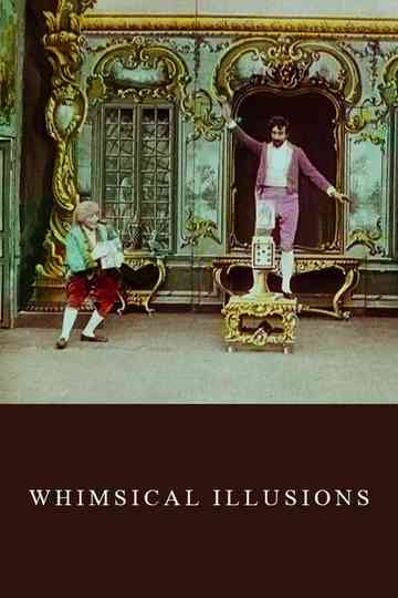 Whimsical Illusions Poster