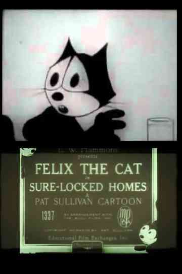 Sure-Locked Homes Poster