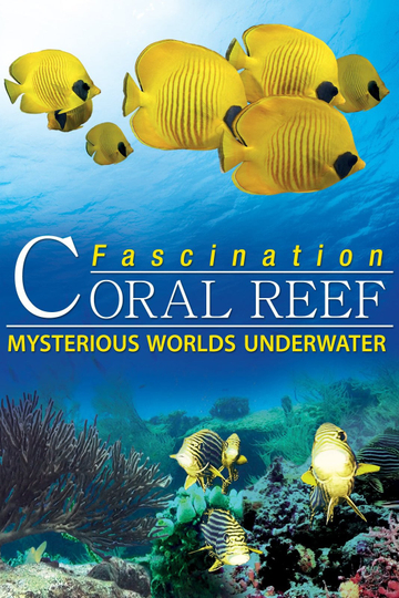 Fascination Coral Reef Mysterious Worlds Underwater