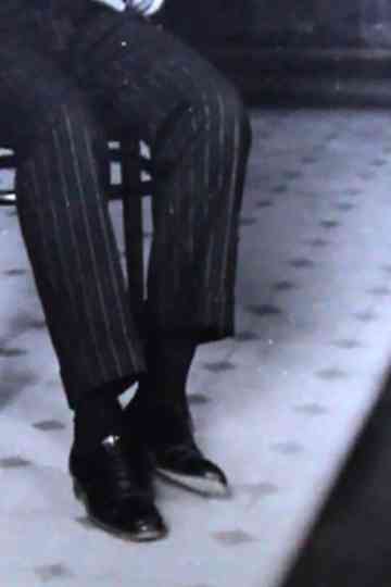 El perro negro Poster