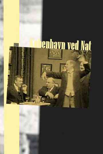 Copenhagen by Night Poster