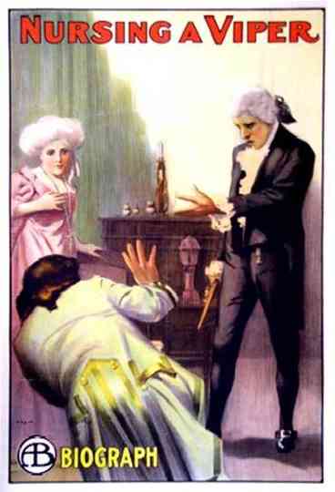 Nursing a Viper Poster