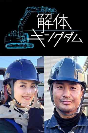 Amazing Disassembly Works Poster