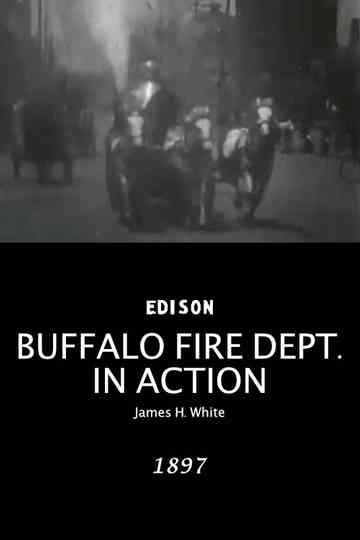 Buffalo Fire Department in Action Poster