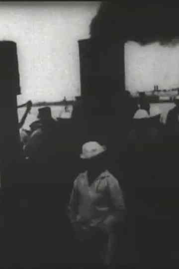 Panoramic View of Newport Poster