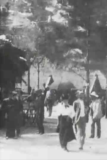 Swiss Village No 2 Poster