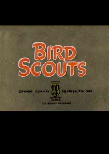 Bird Scouts Poster