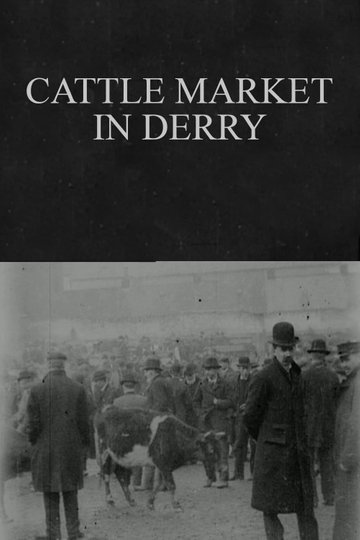 Cattle Market in Derry