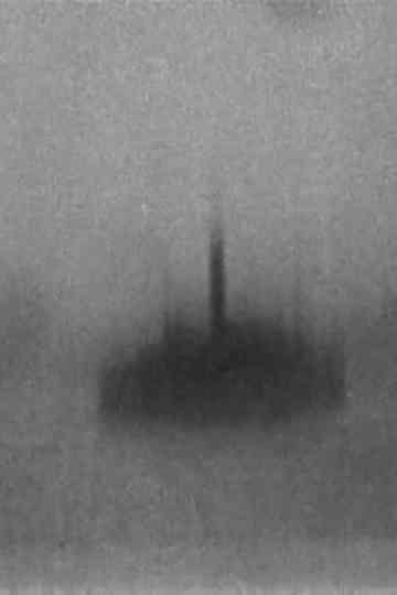 Seeing New York by Yacht Poster