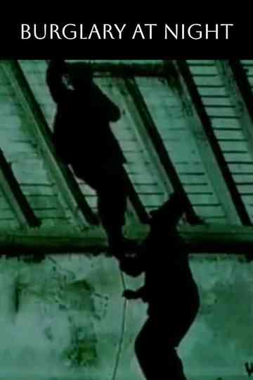 Burglary at Night Poster