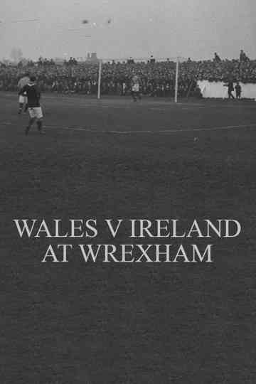 Wales v. Ireland at Wrexham poster