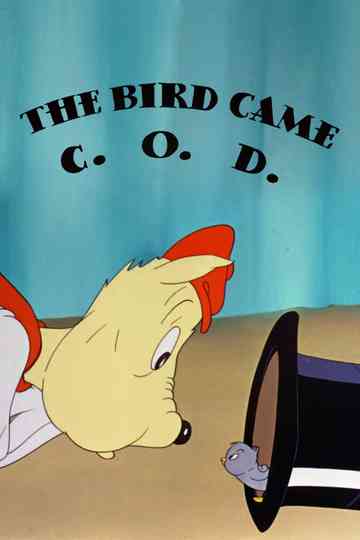 The Bird Came C.O.D. poster