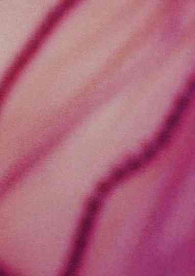 The Riddle of Lumen Poster