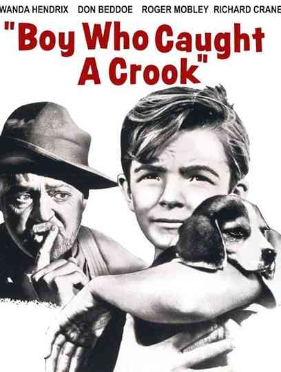 Boy Who Caught a Crook Poster