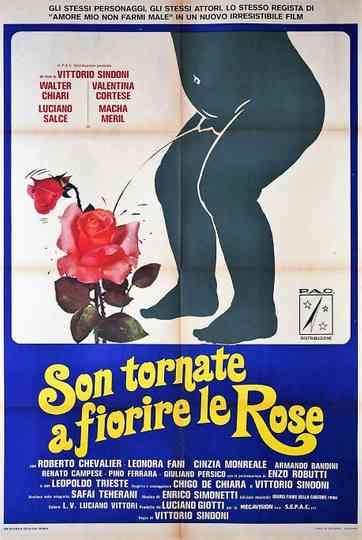 Son tornate a fiorire le rose Poster