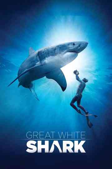 Great White Shark Poster