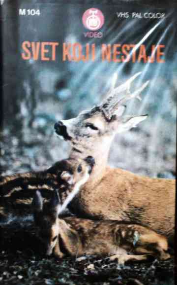 The Vanishing World Poster