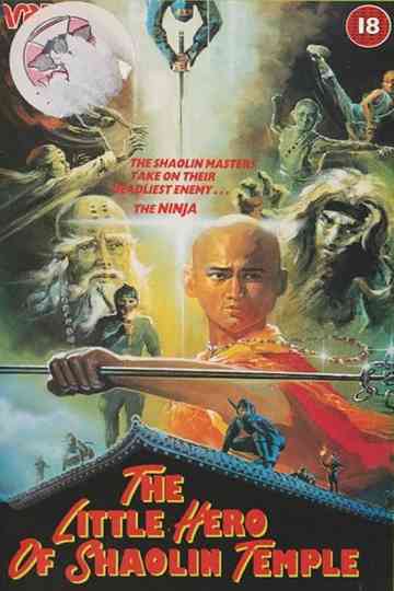 The Little Hero of Shaolin Temple Poster