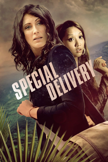 Special Delivery Poster